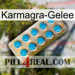 Karmagra Jelly new09